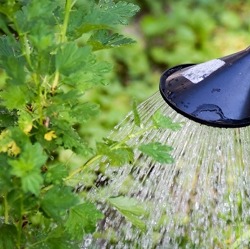 Wassermanagement: Jeder Tropfen zählt    