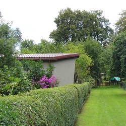 Hecken im Garten - richtige Wahl und richtige Pflege
