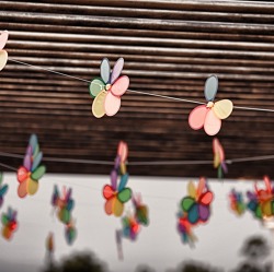 Infos zum Sommerfest